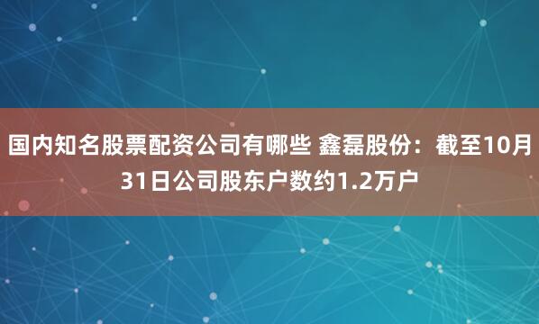 国内知名股票配资公司有哪些 鑫磊股份：截至10月31日公司股东户数约1.2万户